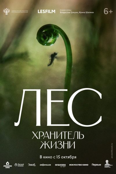 Лес. Хранитель жизни